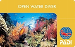 PADI������ɥ�����