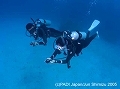 �г����θ������ӥ󥰡��饤���󥹥������롡PADI���ɥХ󥹤إ����ӥ󥰥饤���󥹤򥹥ƥåץ��åפ��륳����