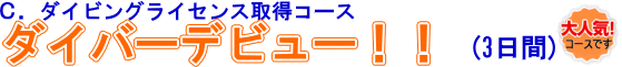 �г����θ������ӥ󥰡��饤���󥹥������롡�����ӥ󥰥饤���󥹤�������륳����