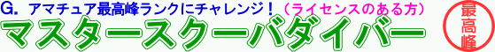 �г����θ������ӥ󥰡��饤���󥹥������롡���ޥ��奢�Υ����ӥ󥰥饤���󥹺ǹ����ޥ������������Х����С���������륳����