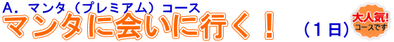 �г����θ������ӥ󥰡��饤���󥹥������롡�ޥ󥿤˲񤤤˹Ԥ��ѥ��ݡ��ȥ�����